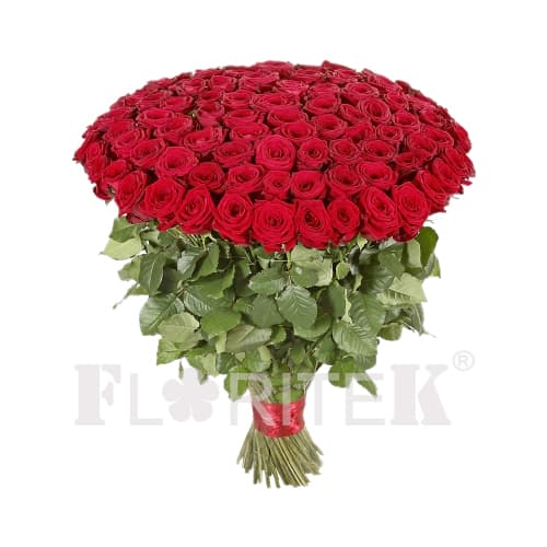 100 Red roses bunch